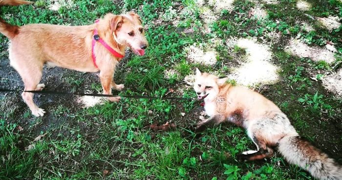 How Jay & Sajmon Are Leaving After 2 Years