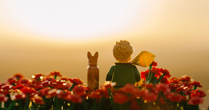 Photographer Pictures Iconic Scenes From The Book “The Little Prince” With Lego