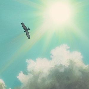 ioanacristinaoltean avatar