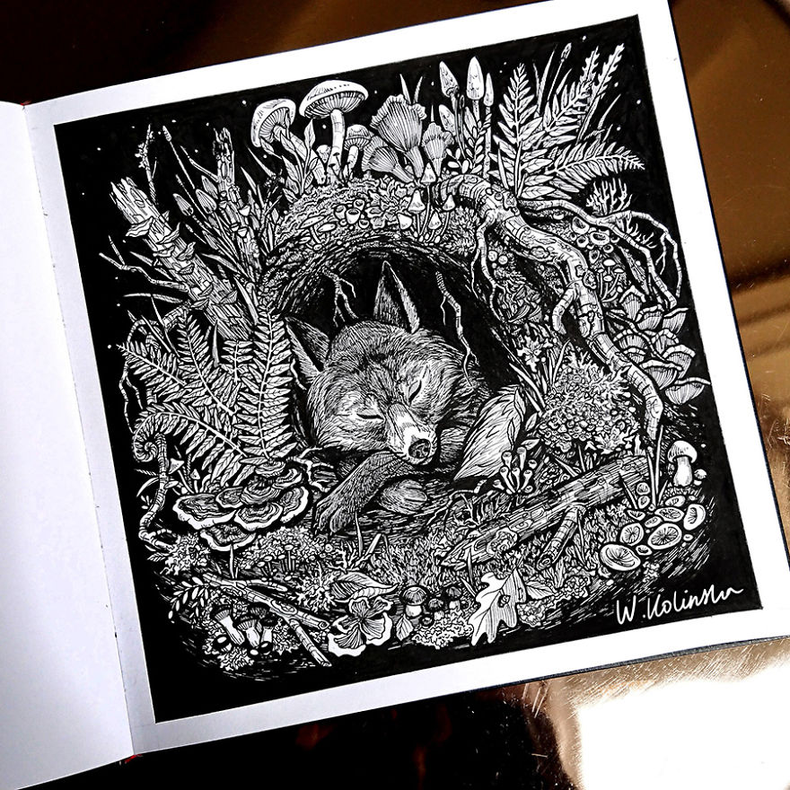 I Create Intricate And Detailed Drawings Of Animals Embedded With Their Natural Habitats