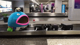 Just Another Baggage Claim At The Honululu Airport