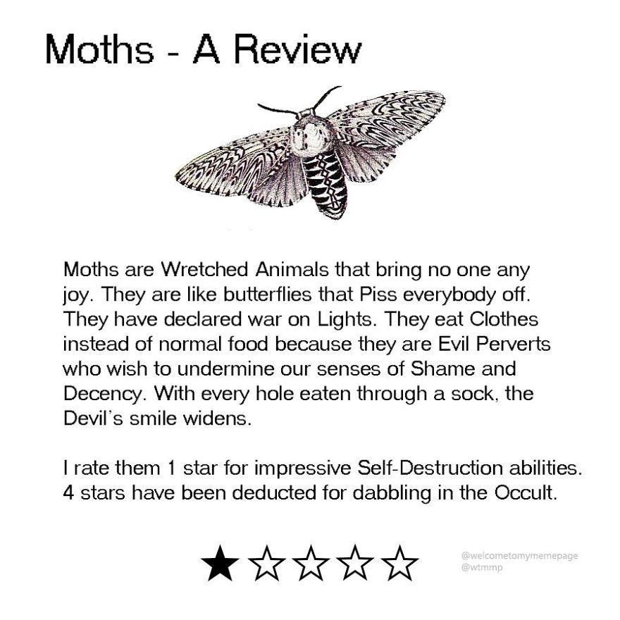 Moths