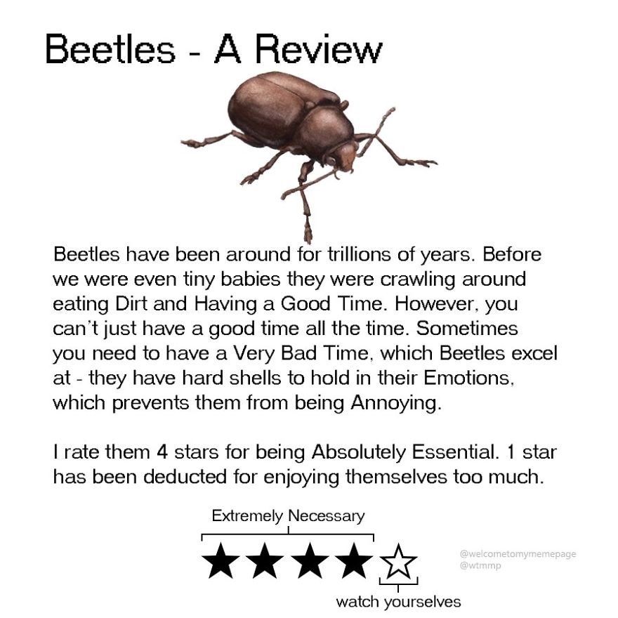 Beetles