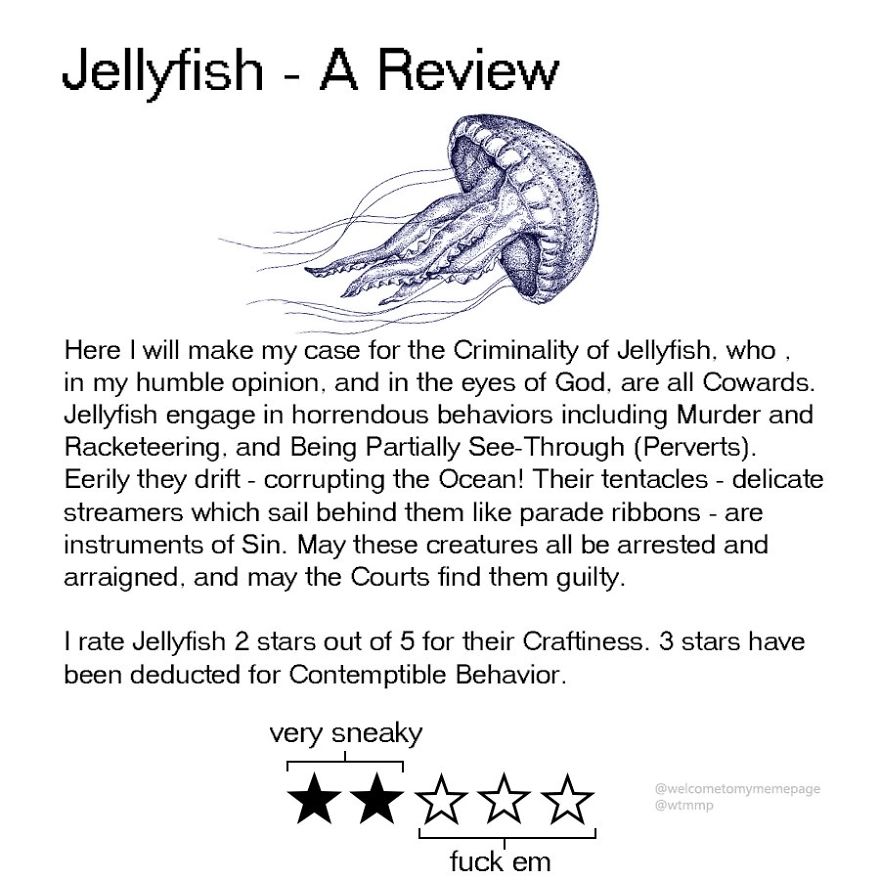 Jellyfish