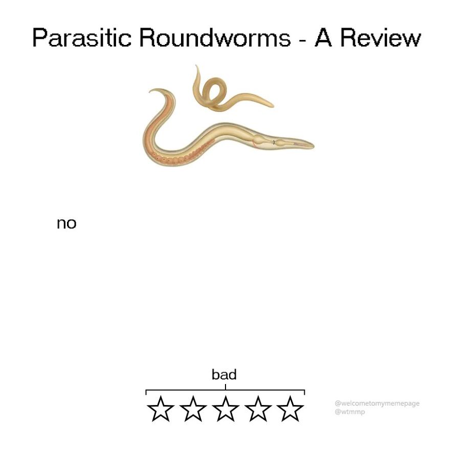 Parasitic Roundworms