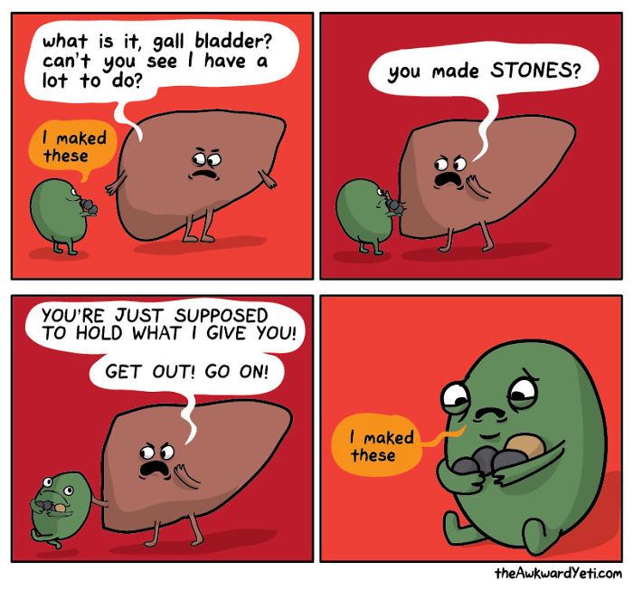 A humorous doctor meme with a gallbladder showing gallstones to an angry liver.