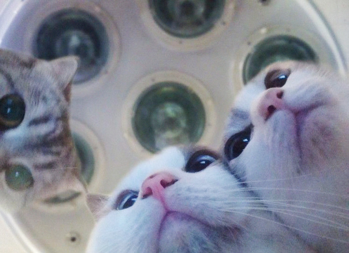 10+ Divertidos memes sobre médicos para gente con un sentido del humor retorcido