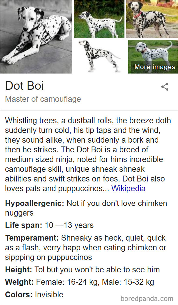 Dot Boi