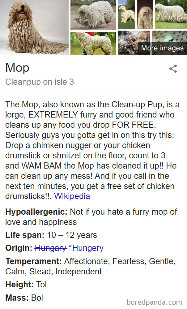 Mop