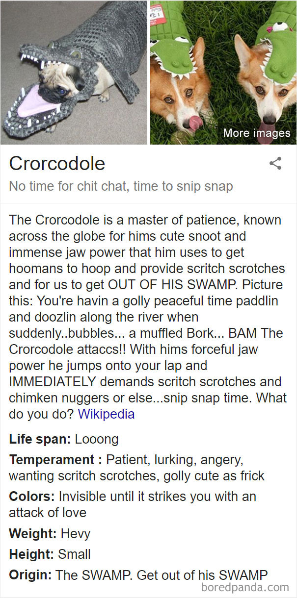 Crorcodole