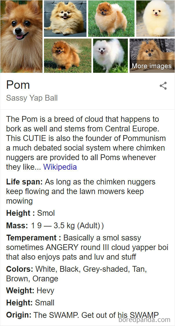 Pom