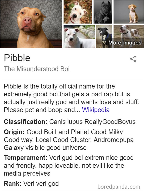 Pibble