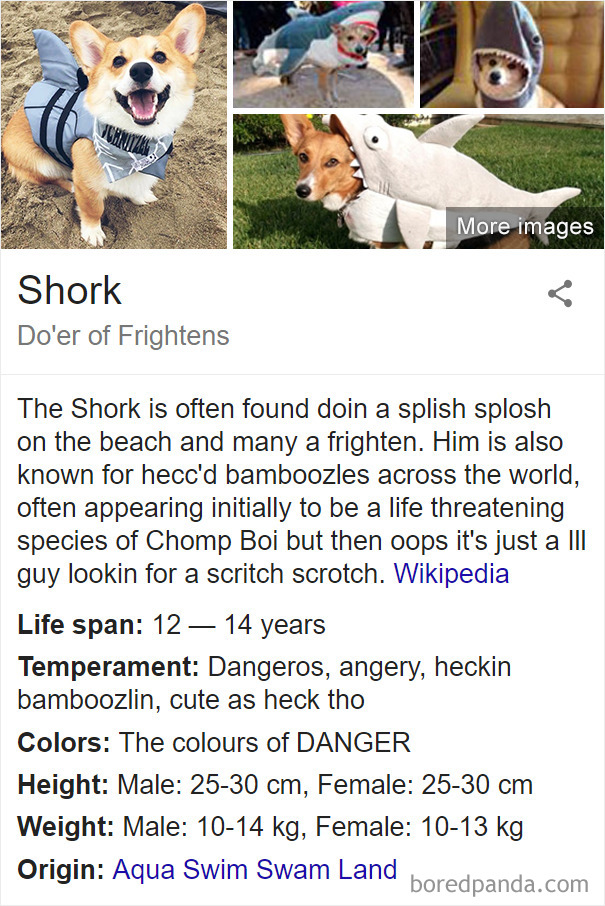 Shork