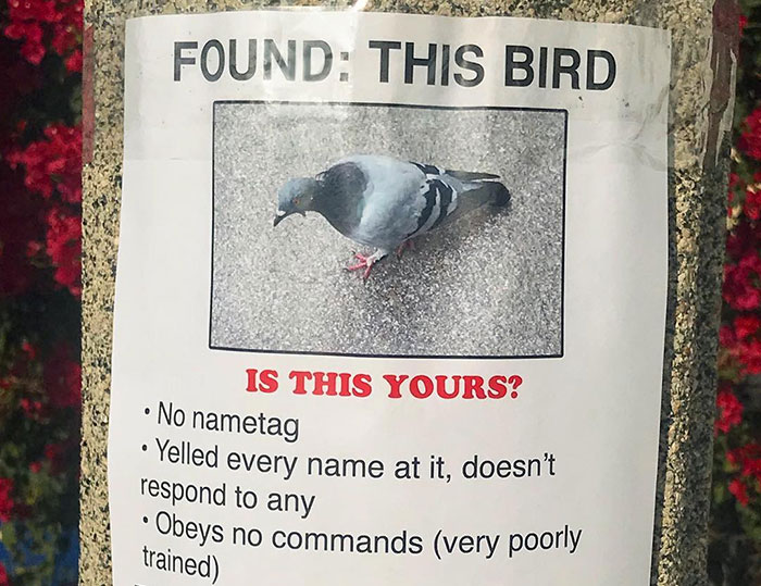 This Guy Won’t Stop Trolling His Neighborhood With Fake Posters, And People Can’t Stop Laughing