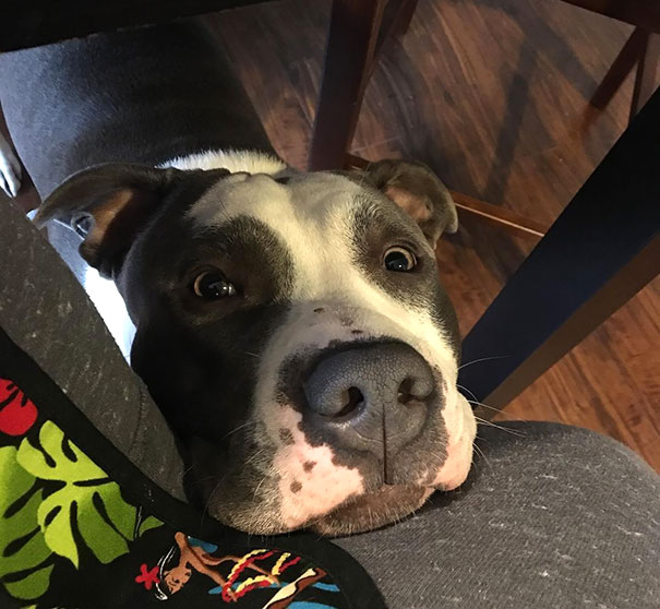 This Face Gets Them Every Time