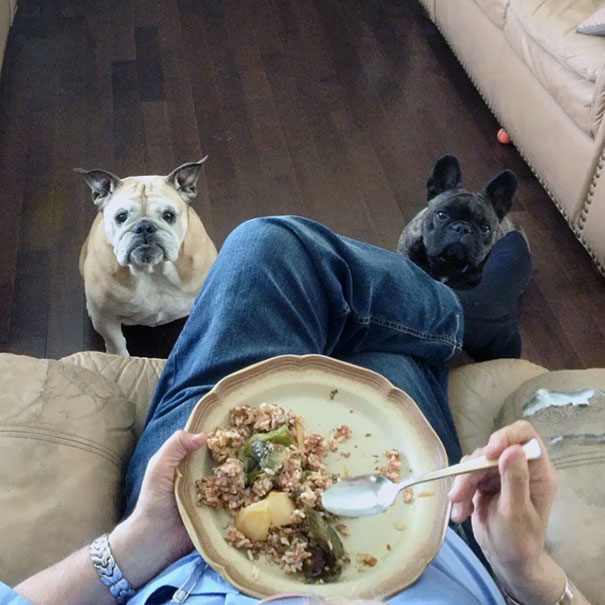 "Don't Try To Fool Us! We Know There Is Still Some Food Left On Your Plate"