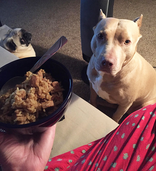 A Double Down On The Staring