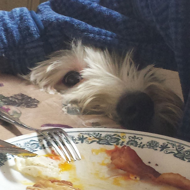 Oliver's Breakfast Routine