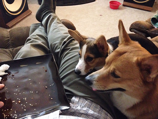 Even After The Burger Was Gone They Kept Staring