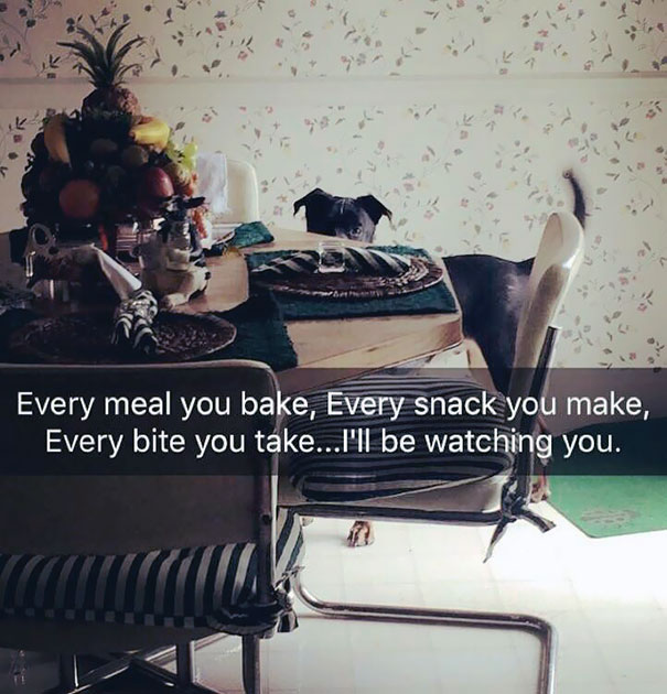 Watching Me Cook Dinner