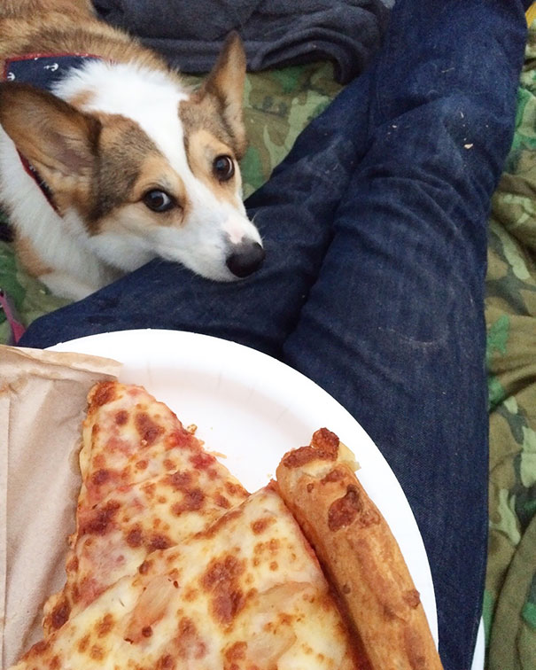 When You Really Want The Pizza