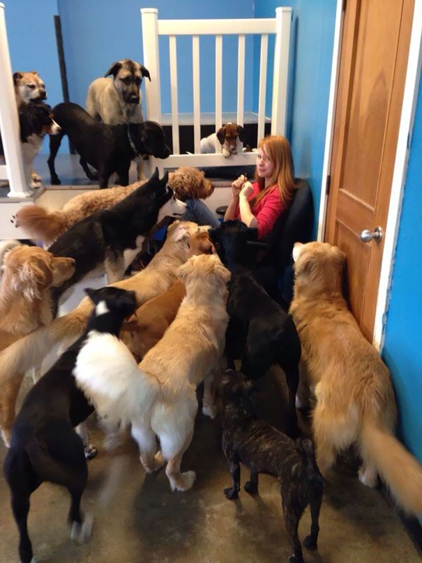 This Is What Happens When You Try To Eat Beef Jerky In A Dog Daycare