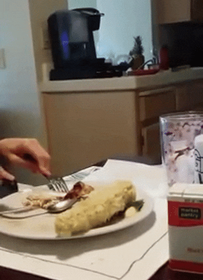 This Is Our Dog Joey. I Wish We Could Say He Was Trained To Do This