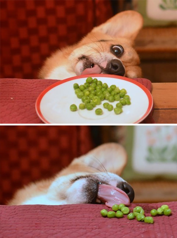 Who Knew Peas Were So Delicious?