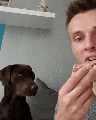 He's Too Proud To Be Caught Begging For Food