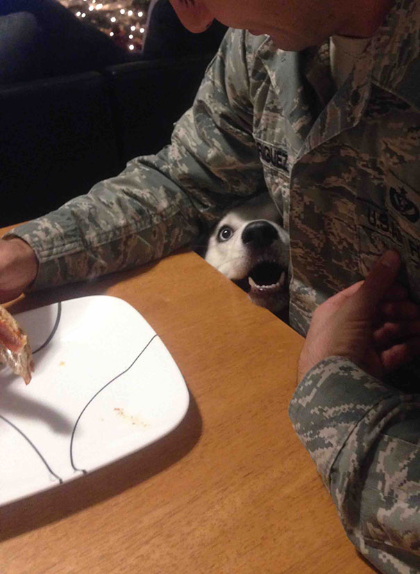 Can... Can I Get Some Of That?