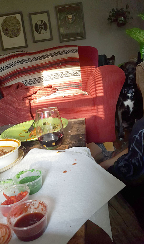 My Dog Begging For Food. He Thinks He's A Ninja