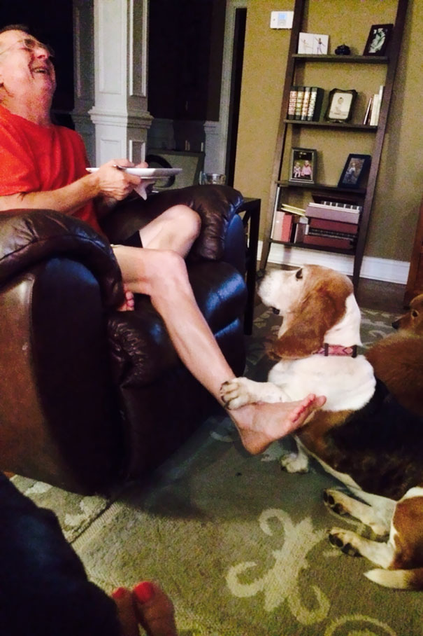 My Mom Just Sent Me This Pic Of Their Dog Watching My Dad Eat