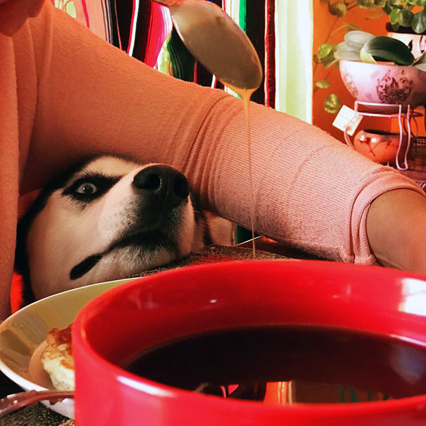 Is.. Is... Is That Honey?