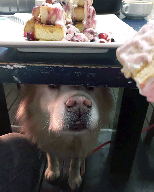 Please, Give Me A Bite