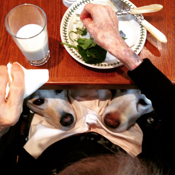 My Mother-In-Law Is Having Lunch With Friends