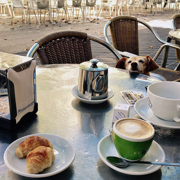 Give Me Those Croissants, Will Ya?