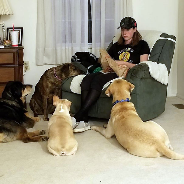 Guess, Who Has Food?