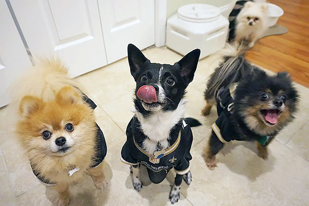 Did Someone Say... Dinner?