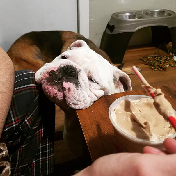 I Just Want One Lick