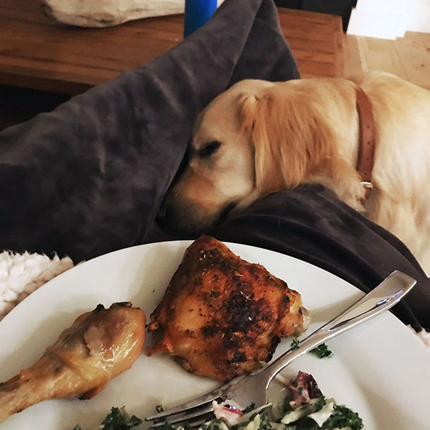 Fake Sleeping, Because Just Pretending You Don’t Want It When You Really Do, Didn’t Quite Work