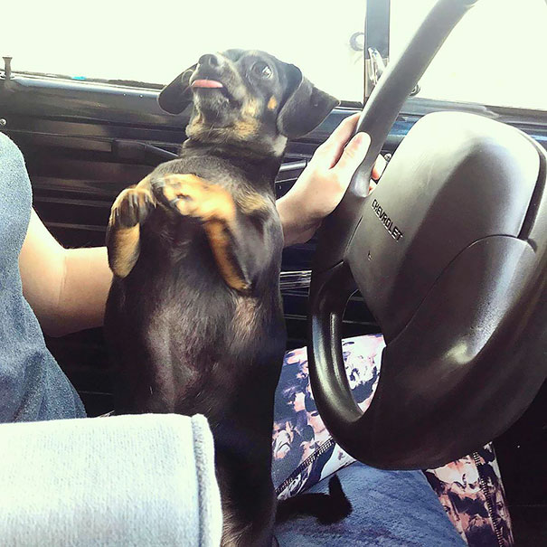 No, I Would Never Beg For Food While Mama’s Driving