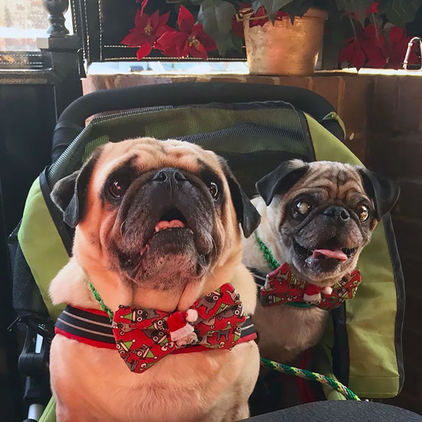 There Is No Way You Can Say No To Us