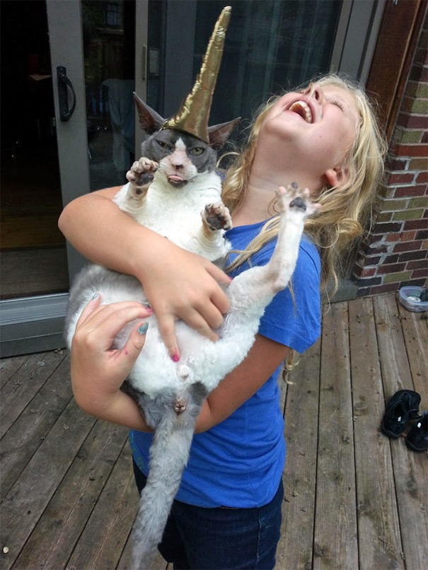 My Daughter And Our Friend Sewed A Unicorn Horn For The Cat While I Napped