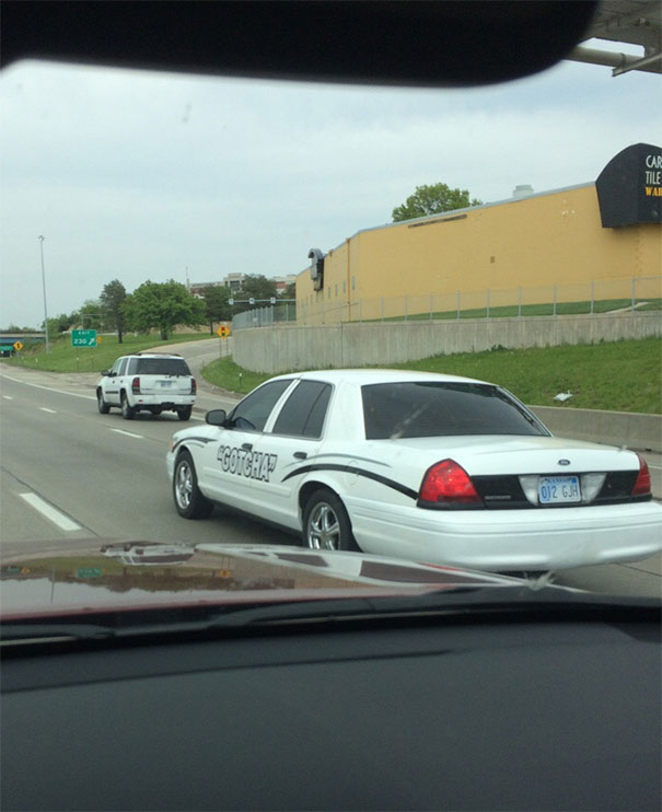 Saw This Trickster On The Highway Today