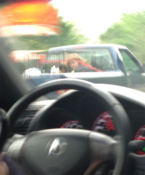 While Driving On The Pennsylvania Turnpike, We Saw A Little Girl Locked Up In A Cage With A Dog In The Bed Of A Pick Up Truck
