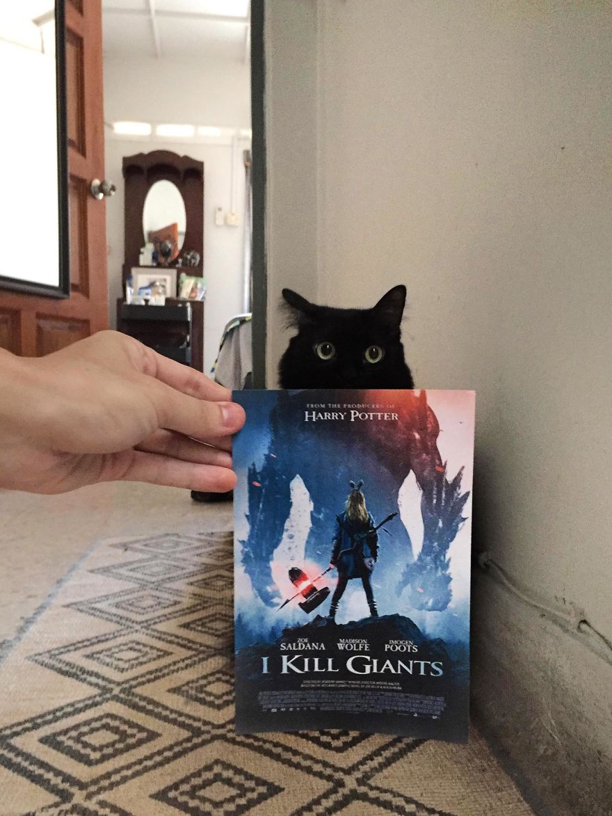 Photographer Follows Cats Around To "Insert" Them Behind Famous Movie Posters
