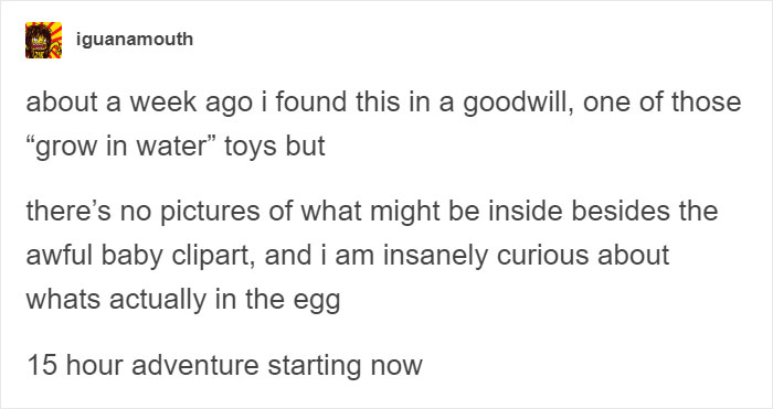 Someone Finds Old "Grow In Water" Egg At Goodwill And Puts It In Water, Regrets It 23 Hours Later Someone Finds Old "Grow In Water" Egg At Goodwill And Puts It In Water, Regrets It 23 Hours Later