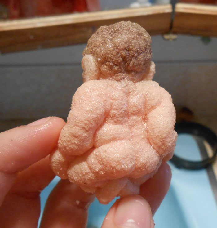 Someone Finds Old "Grow In Water" Egg At Goodwill And Puts It In Water, Regrets It 23 Hours Later Someone Finds Old "Grow In Water" Egg At Goodwill And Puts It In Water, Regrets It 23 Hours Later