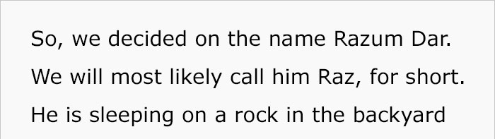 house-moving-free-feral-cat-mirandae-1