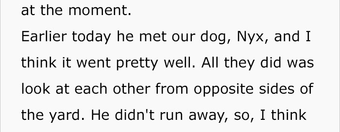 house-moving-free-feral-cat-mirandae-2 house-moving-free-feral-cat-mirandae-2